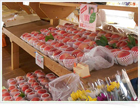 �������̗l�q