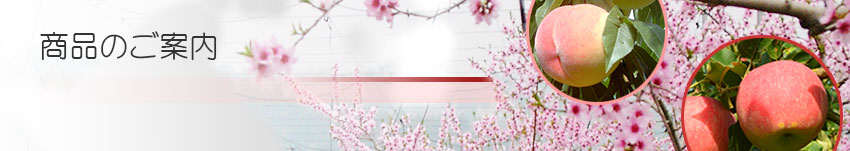 ���i�̂��ē�